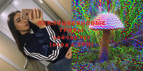дурь Кодинск