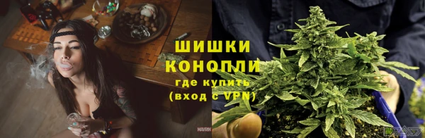 кокс Козельск