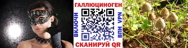 Купить где  Чулым  Галлюциногенные грибы мухоморы 