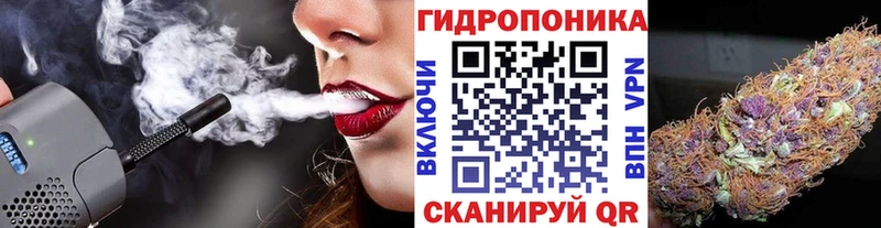 Купить  Чулым  Каннабис индика 
